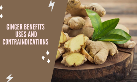 GINGER benefits [Uses and contraindications]